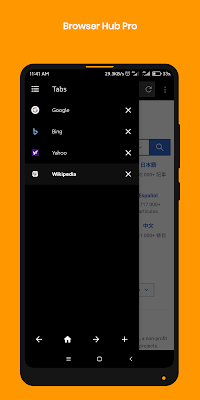 Browser Hup Pro screenshot-app
