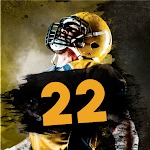 Astonishing Football GM 22 screenshot-app