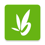 Bamboo screenshot-app