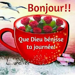 Bonjour Bonsoir Bonne Nuit screenshot-app
