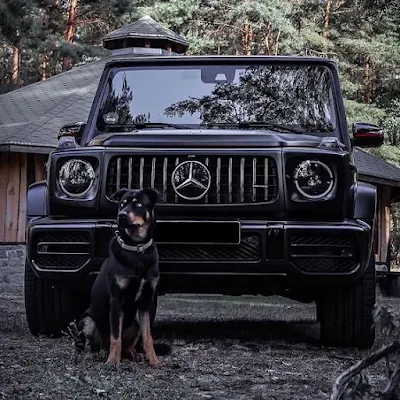 Mercedes Benz G Class Wallpapers screenshot-app