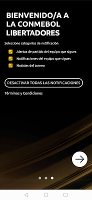 CONMEBOL Libertadores screenshot-app