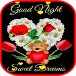 Good Night Gif screenshot-app
