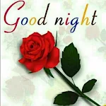 Good Night Flowers screenshot-app
