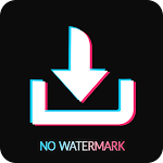 TikTok Video Downloader 2021 screenshot-app