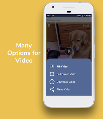 MiniFace Manager for Facebook screenshot-app