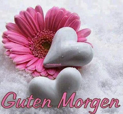 Guten Morgen Bilder GIF screenshot-app