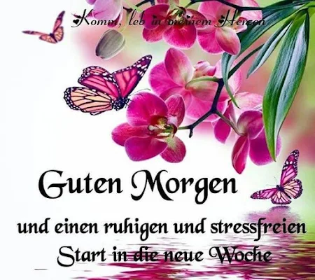 Guten Morgen Bilder GIF screenshot-app