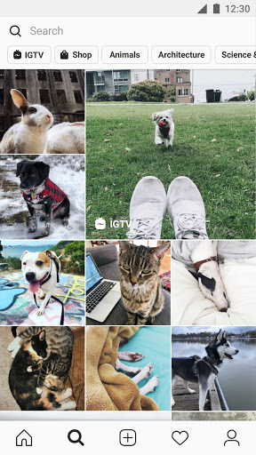Instagram screenshot-app