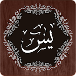 Surah Yaseen screenshot-app