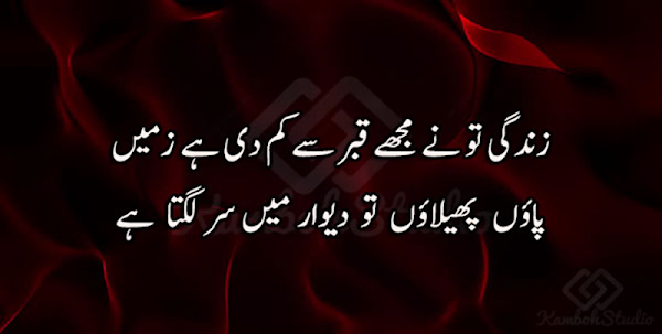 Zindagi Shayari Urdu screenshot-app
