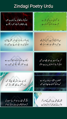 Zindagi Shayari Urdu screenshot-app