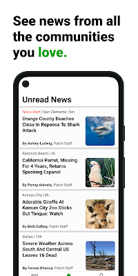 Patch - Everything Local screenshot-app