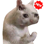 Funny Cat Memes Stickers WAStickerApps screenshot-app