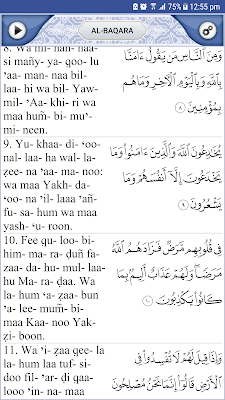 Quran Explorer screenshot-app