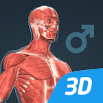 Human body (male) educational VR 3D screenshot-app