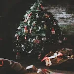 Preppy christmas wallpaper screenshot-app