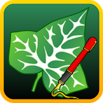 Ivy Draw screenshot-app