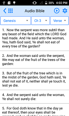Holy Bible Offline screenshot-app