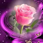 Flowers And Roses Images GIF screenshot-app