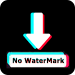 SssTiktik Downloader screenshot-app
