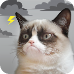 Grumpy Cat Weather screenshot-app