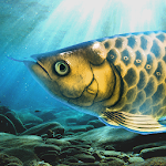 Arowana raising from fry screenshot-app
