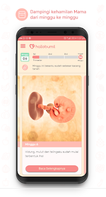 Hallobumil: Aplikasi Kehamilan screenshot-app