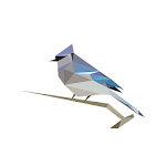 BirdNET screenshot-app