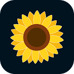 Gallery pro, Photo Gallery screenshot-app